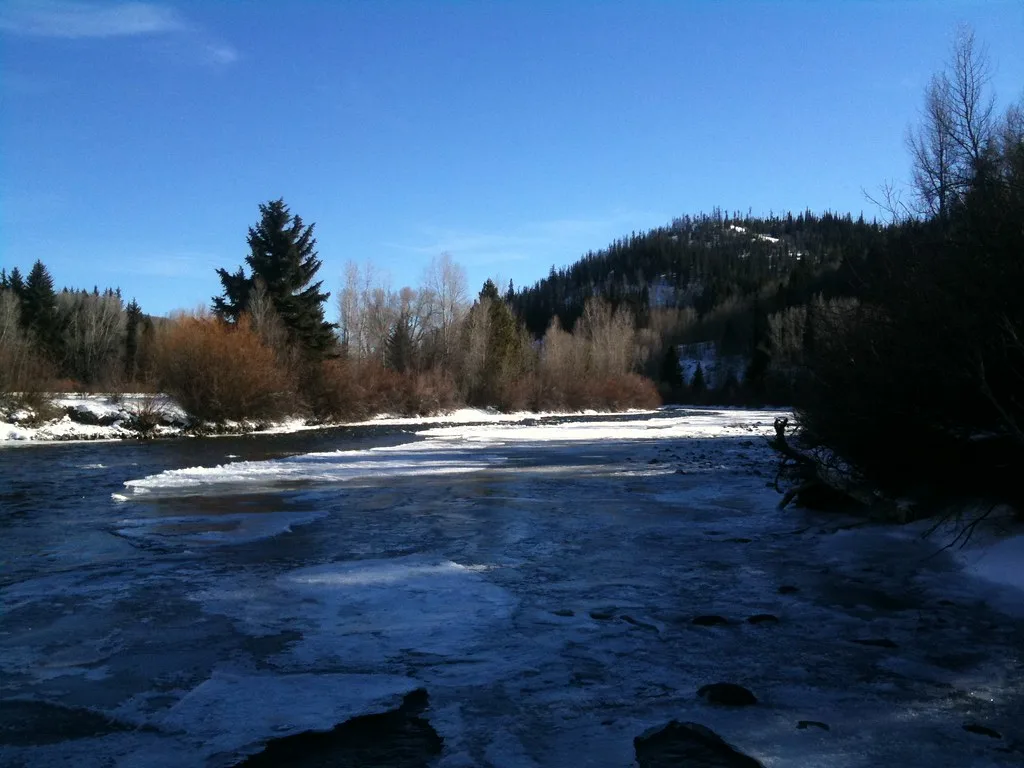 A partly frozen stretch of the Blue River tailwater near Silverthorne, Colorado, with forested mountains behind.