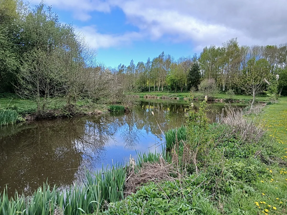 A tree-lined fishing pool at Hurst Farm Holiday Cottages in Shropshire, with still water reflecting the sky