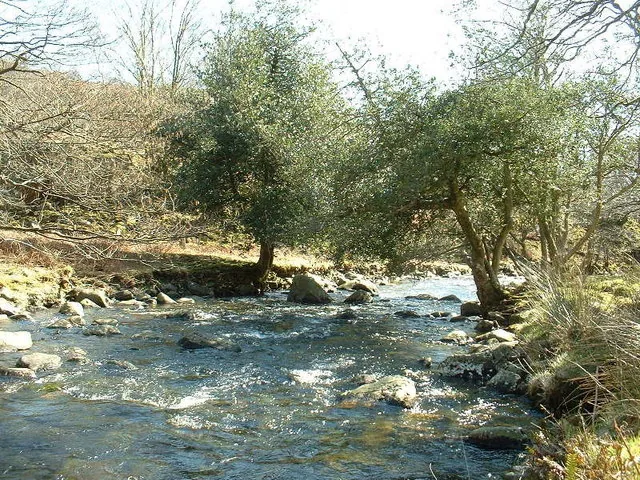 The Afon Artro, a Welsh river, flowing through a valley near Crafnant in Gwynedd