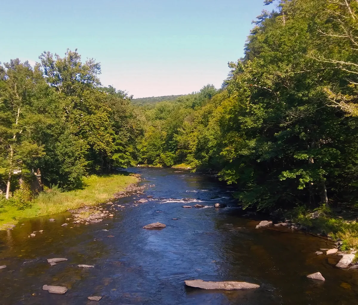 Neversink River — Neversink River at Oakland Valley, NY
