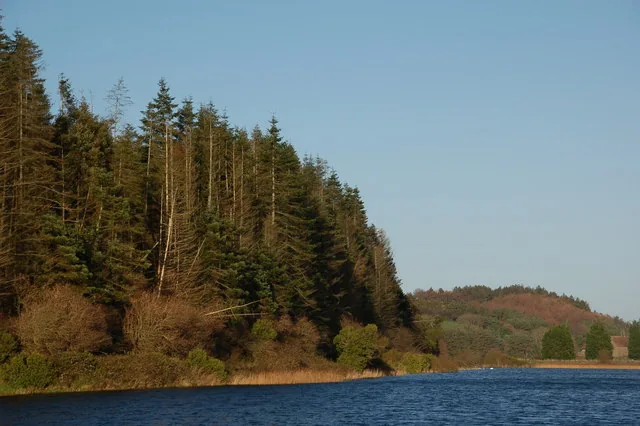 Lough Money near Downpatrick, County Down, Northern Ireland -- view along the wooded western shore.