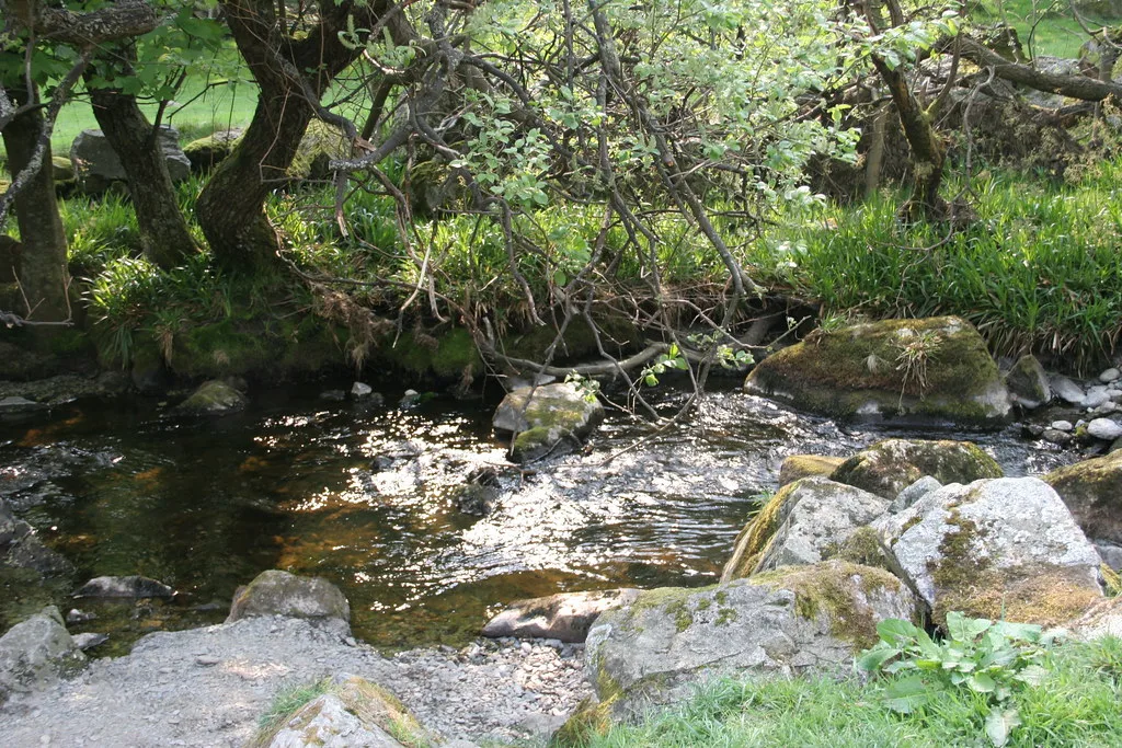 A small clear Welsh river flowing over rocks beneath overhanging trees, River Tanat, mid-Wales.