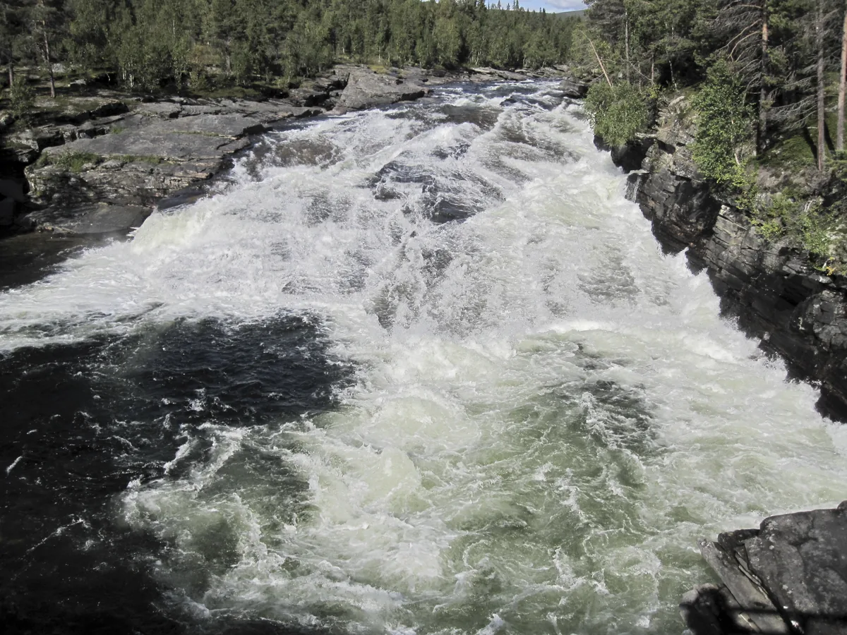 Powerful white-water rapids crashing over rocks on the Vindelälven river at Ammarnäs in Swedish Lapland, framed by boreal forest.