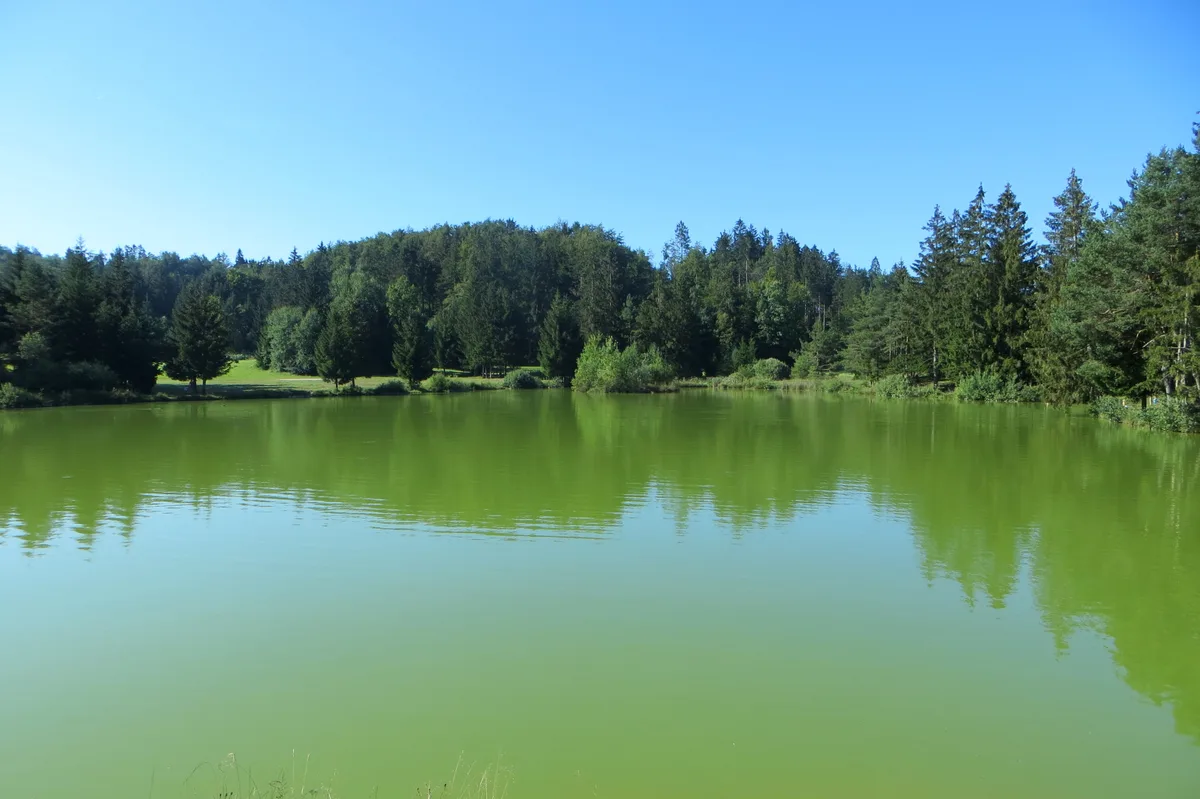 Bloško jezero — Lake Bloke