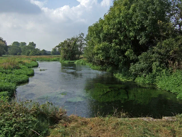 The River Frome, a chalk stream, flowing through water meadows west of Dorchester, Dorset.