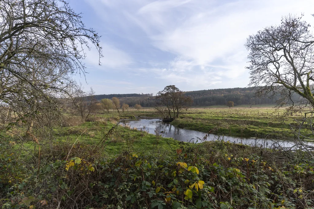 A winding lowland river, the River Devon in Clackmannanshire, curving through open pasture with autumn trees and wooded hills in the background.