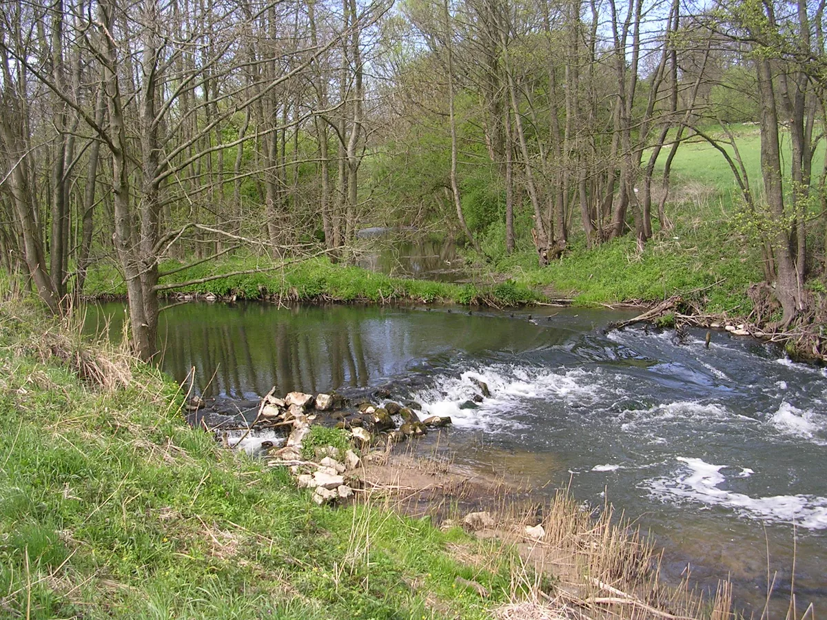 Photo of Radunia