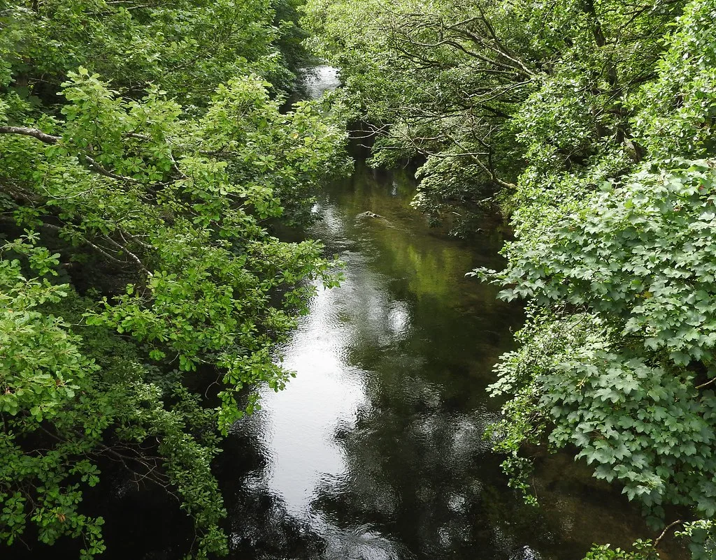 A tree-canopied stretch of the River Cocker in Cumbria, calm clear water flanked by dense green foliage.
