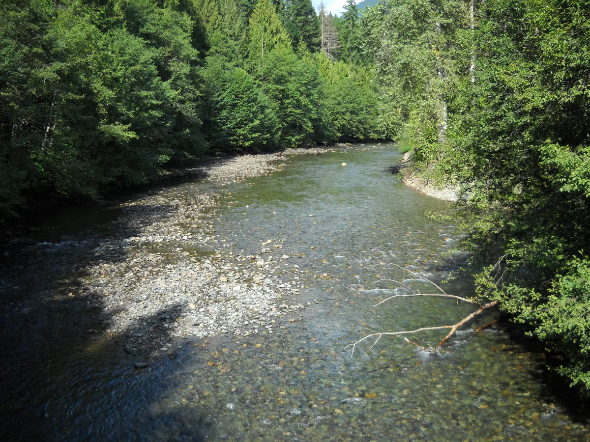 Skagit River (BC) — Skagit RiverInCanada