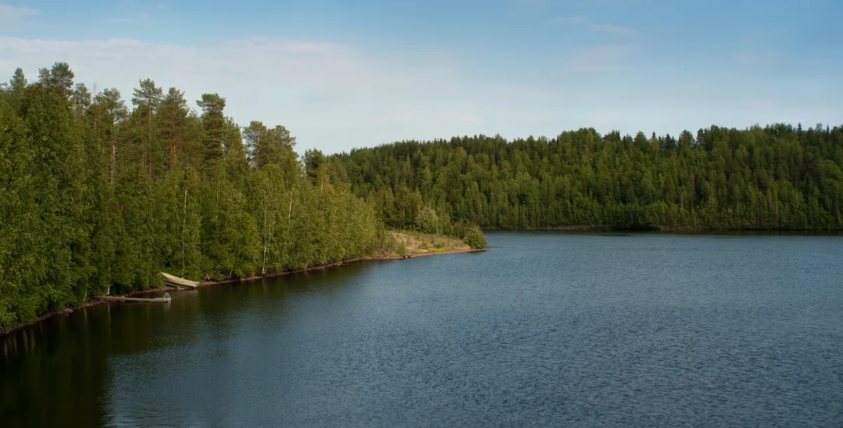 Wide view of the Kemijoki river flanked by boreal forest near Vanttauskoski, Rovaniemi, Finland