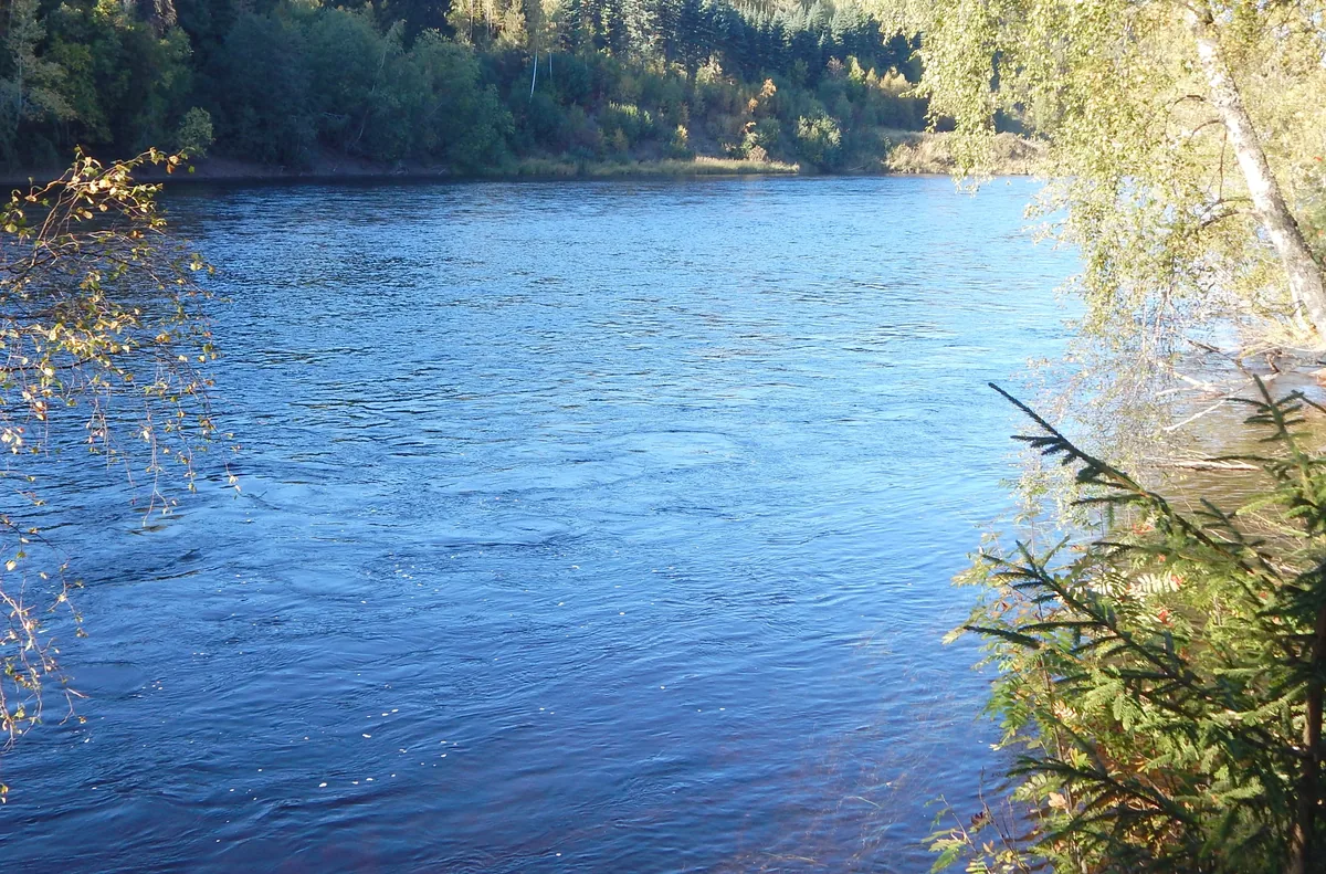 Photo of Renaelva