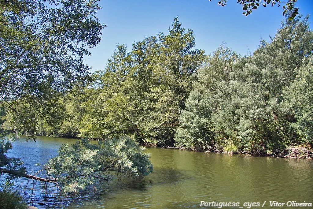 Alva — Rio Alva - Portugal