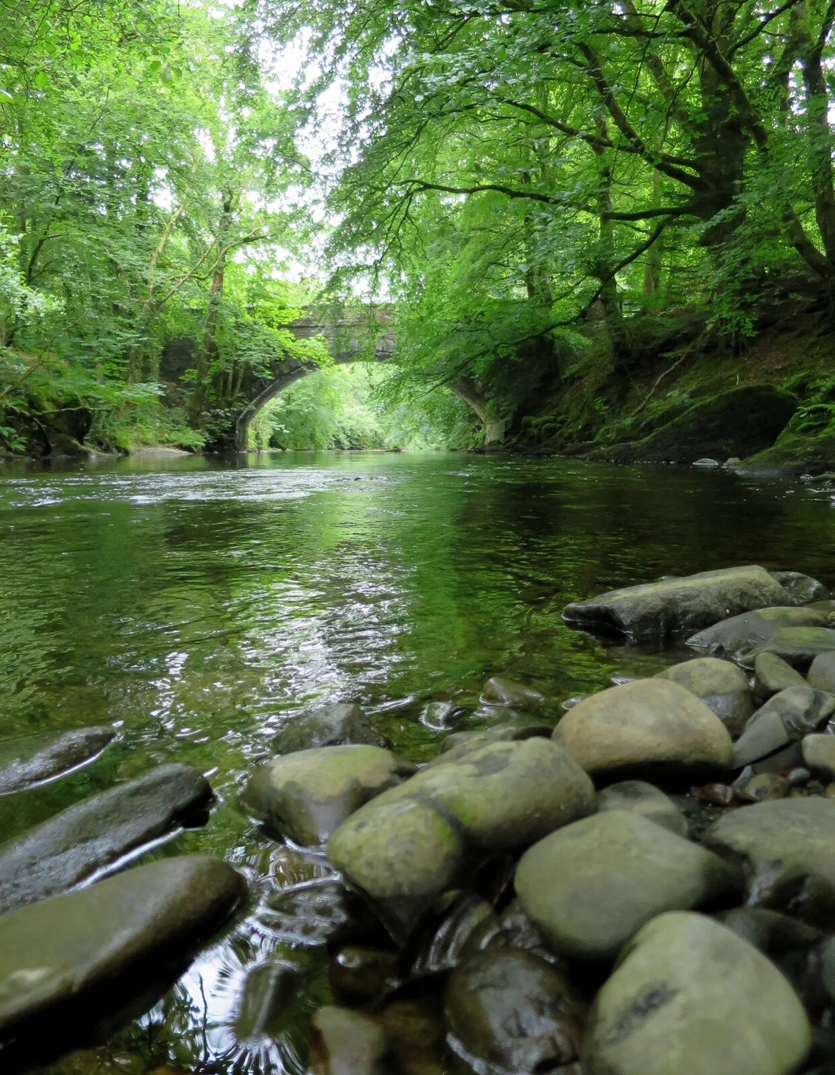 A clear pool on the River Vyrnwy with a visible gravel and boulder riverbed, an old stone bridge, and dense green tree cover.