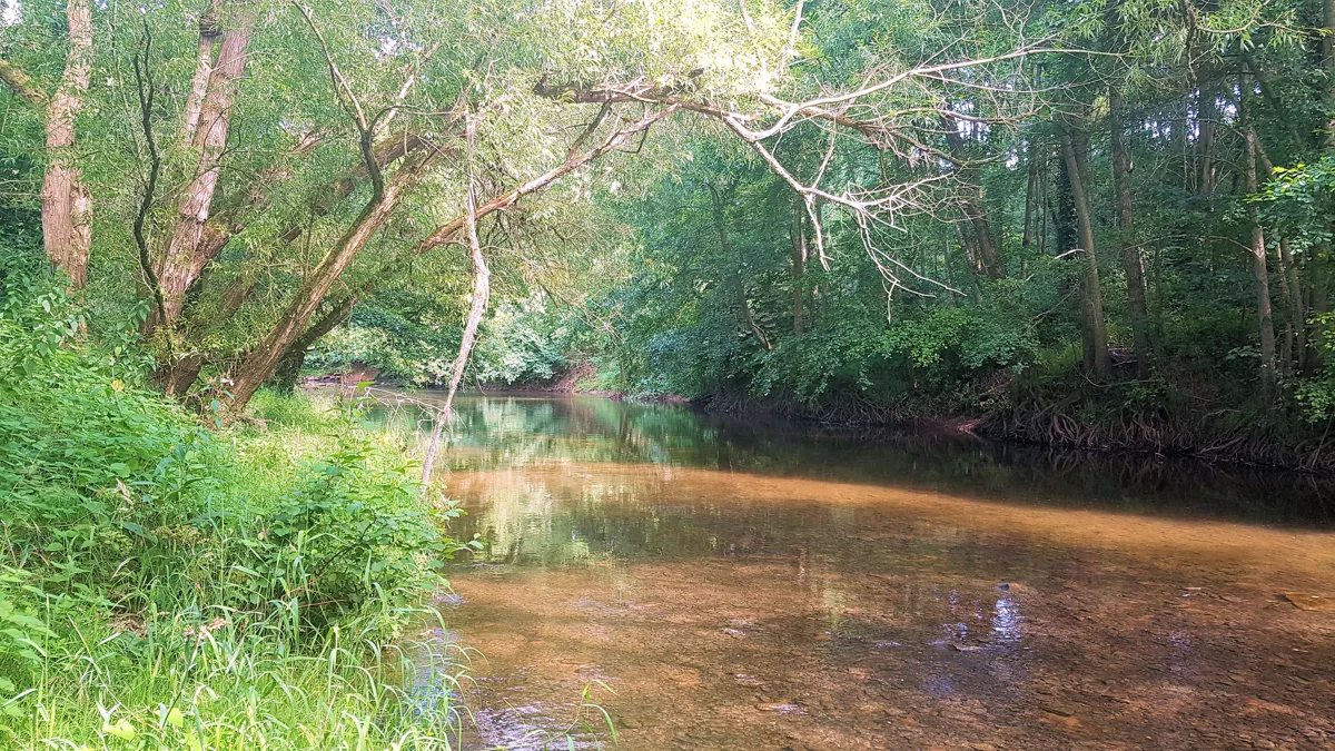 A clear, shallow stretch of the River Monnow with a gravel riverbed, flowing between tree-lined banks near Rockfield.