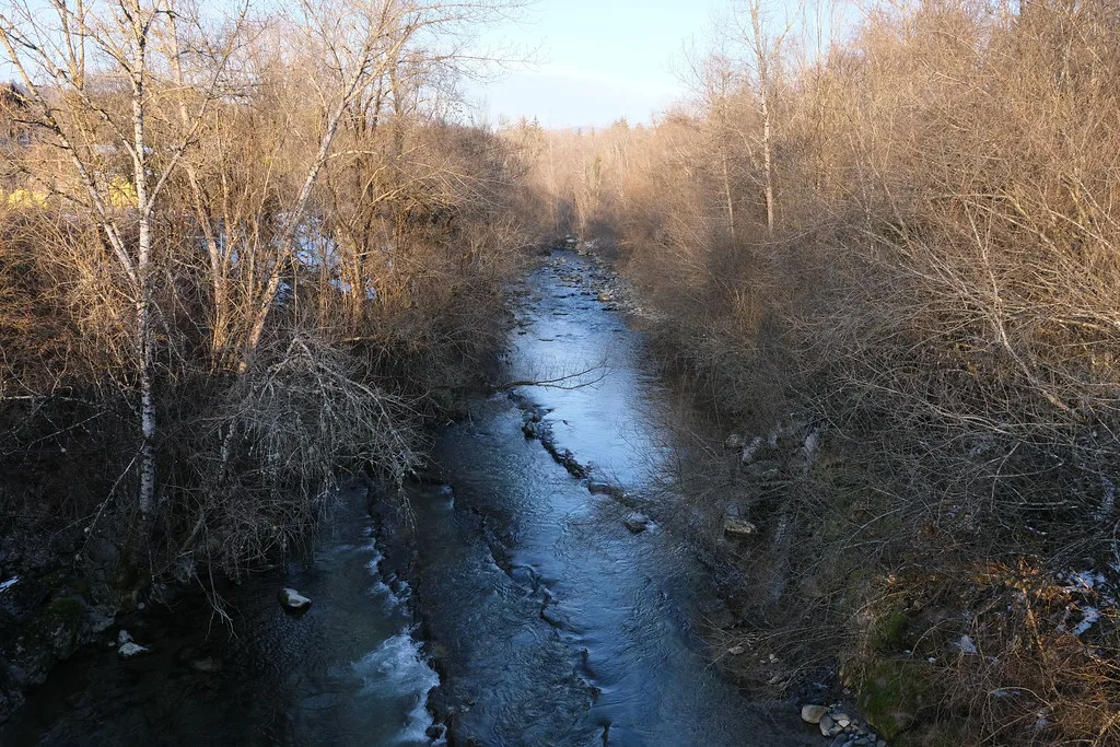 A clear rocky-bedded stream, the Filliere river, flowing between bare winter trees near Les Ollieres, Haute-Savoie, France.