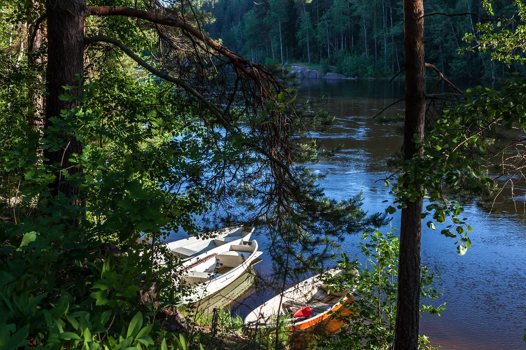 Small rowing boats tied up on a quiet, forested bend of the Kymijoki river in Finland, sunlight filtering through pine trees.