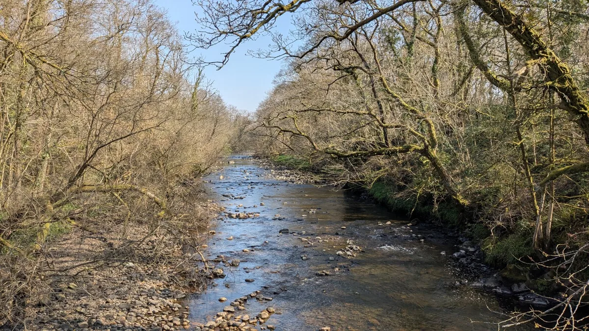 A clear, shallow stretch of the River Amman flowing over a stony riverbed, framed by leafless trees on both banks.