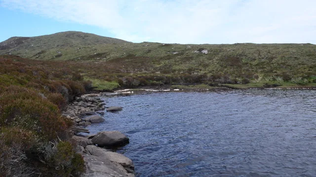 A quiet bay on Loch Scadabhagh, North Uist, a large machair loch known for wild brown trout.