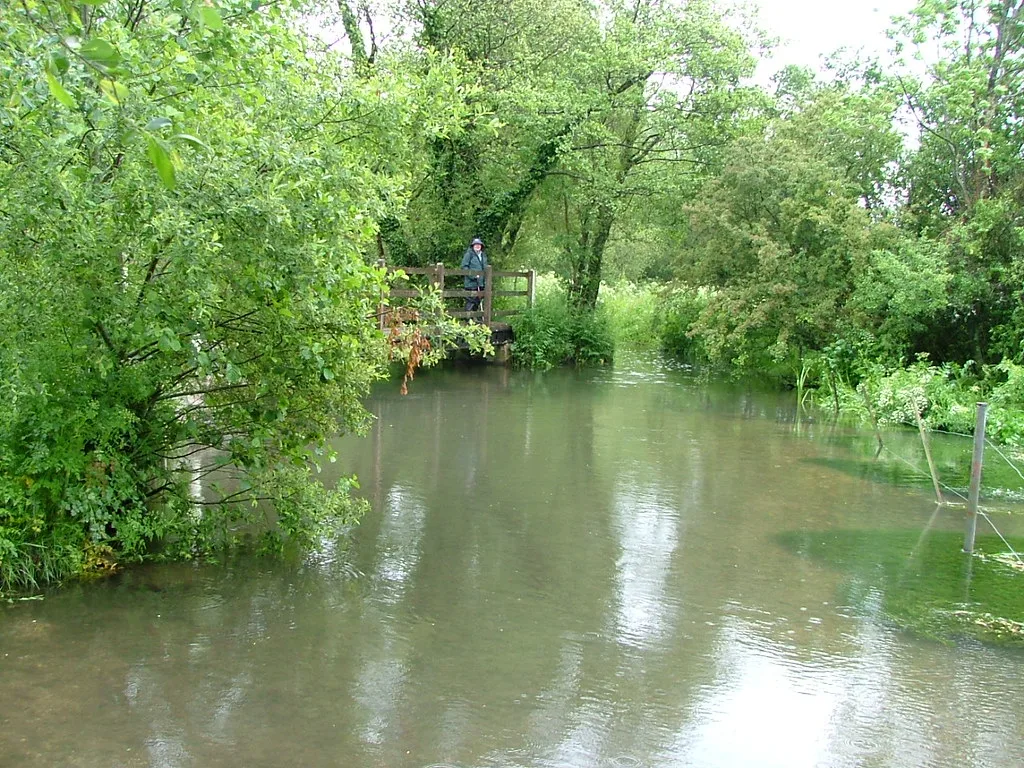 River Meon — River Meon, near Exton