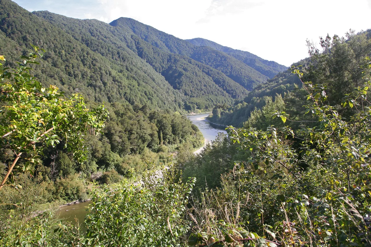 Buller River / Kawatiri — 00 1294 Buller River - New Zealand