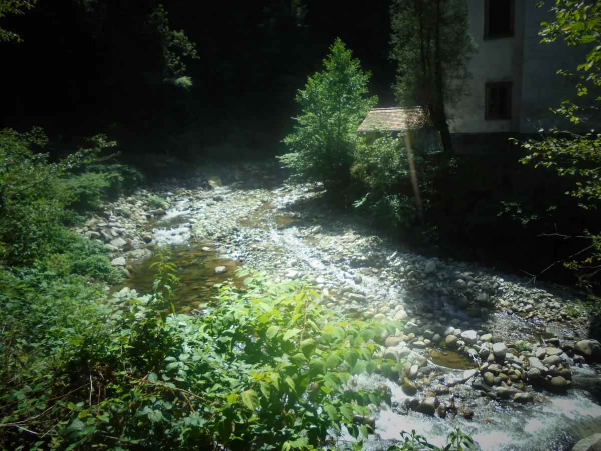 Radoljna — River Radoljna in Puščava