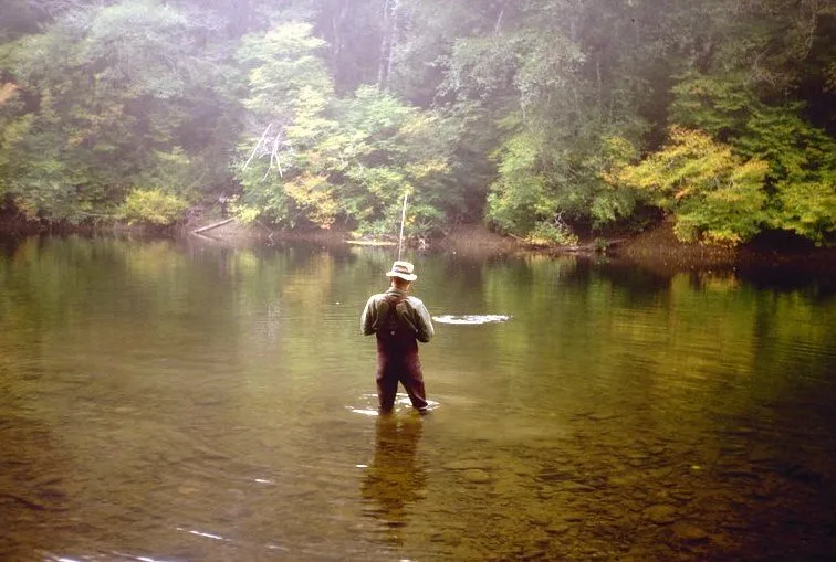 An angler in waders casting a fly rod while standing in the calm, tree-lined Bogachiel River, Washington.