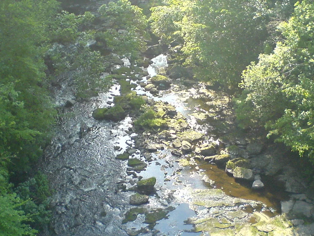 A rocky, tree-lined stretch of the River Avon (Lanarkshire) with shallow water running over boulders.
