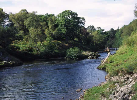 Photo of River Carron (Wester Ross)