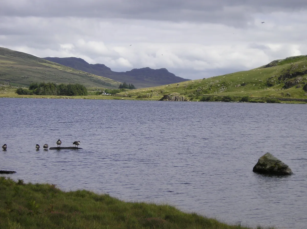 Wide view across Llyn Ogwen towards Snowdonia mountains, with waterfowl standing on a rock in the lake and green hillsides on both shores.