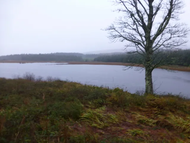 The Clady River flowing through moorland near Gweedore, County Donegal, Ireland.