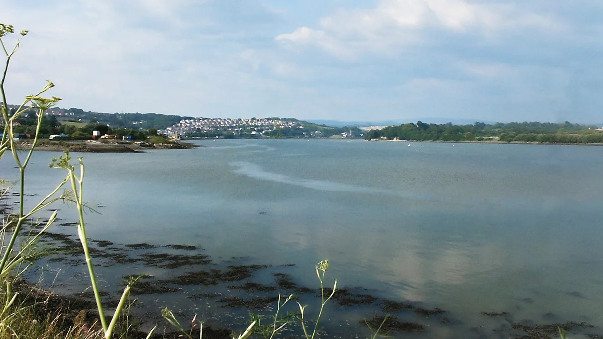 Photo of River Plym