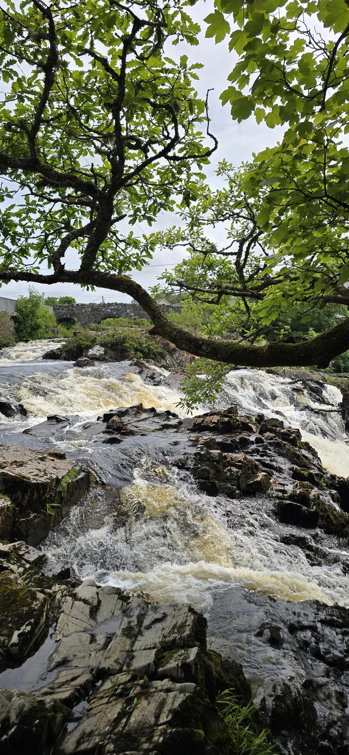 Owenglin River — IRL 2025, Clifden; Owenglin River, June 2025 Republic of Ireland photographs (01)