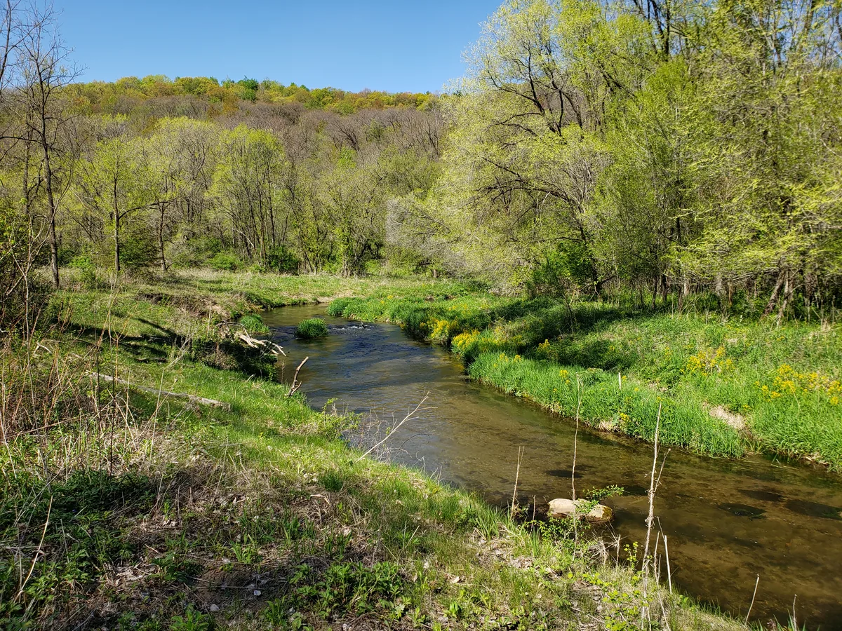 Clear Driftless-region trout stream winding through a wooded valley at Hay Creek, Minnesota