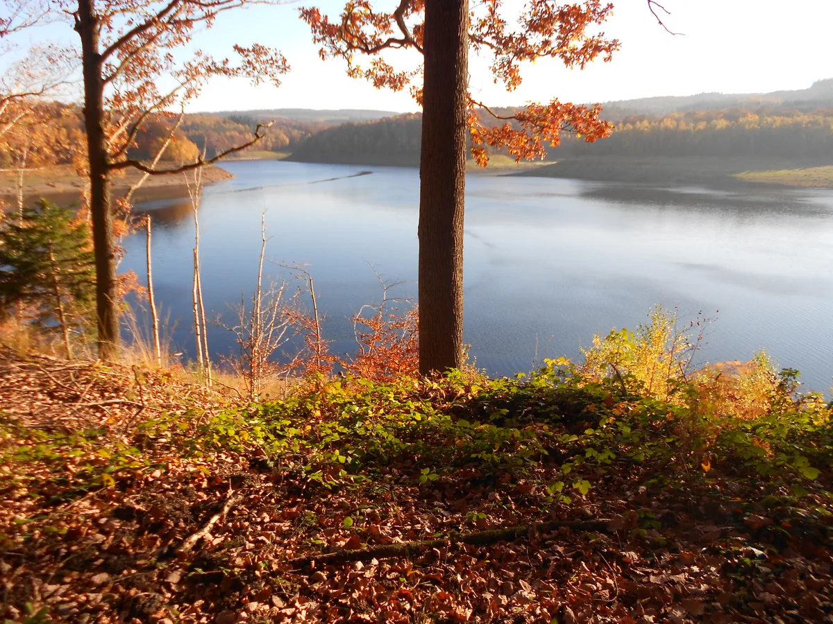 Autumn view of the Gileppe reservoir through trees in the Liège Province of Belgium
