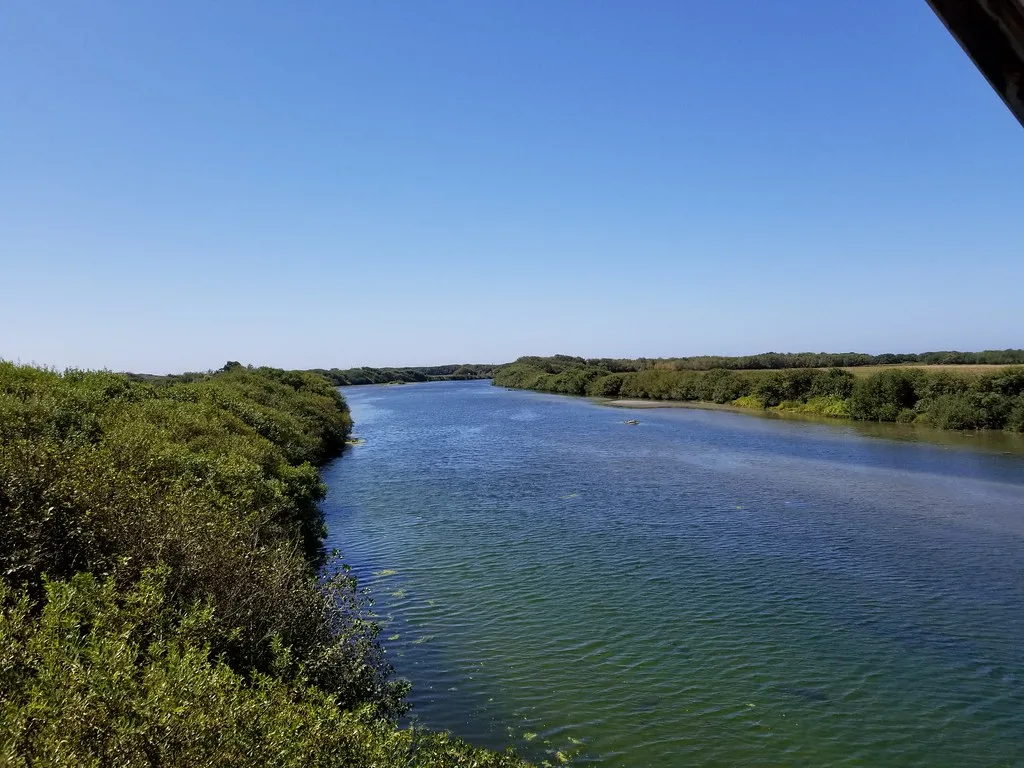 Wide blue-green river viewed from a bridge, flanked by dense coastal shrubs near Arcata, California.