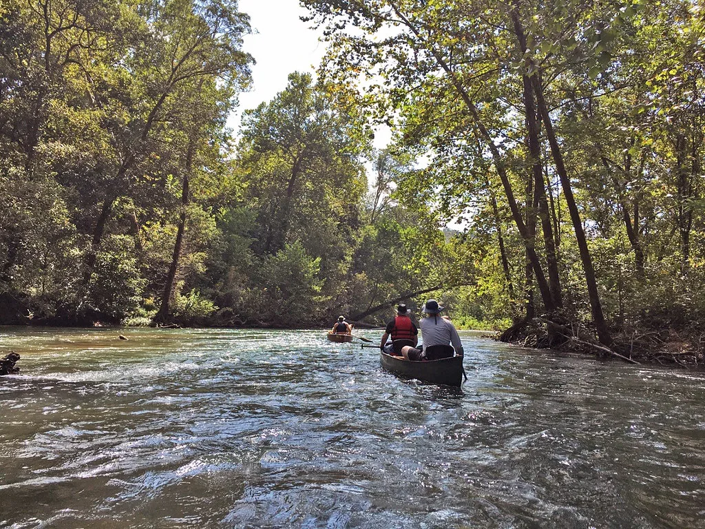 Two canoes with paddlers moving down the clear, forested Eleven Point River in the Missouri Ozarks.