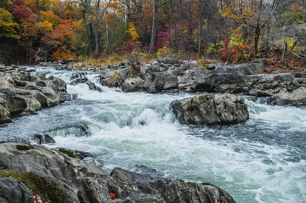 Rushing whitewater rapids over boulders on the Housatonic River, framed by autumn foliage near Bull's Bridge, Connecticut.