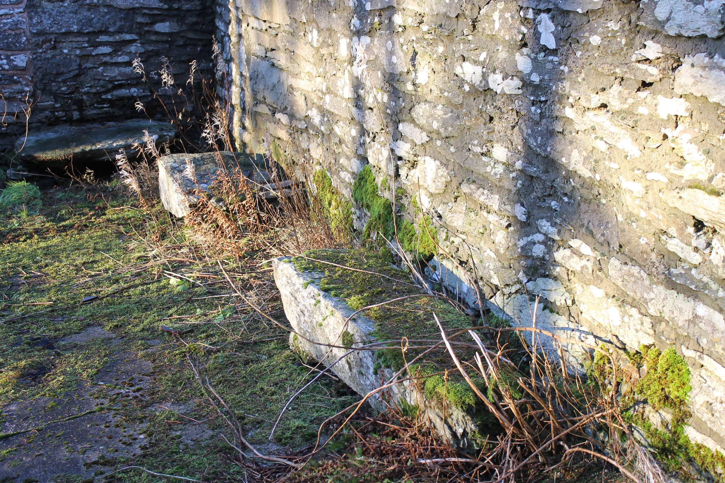 Llyn Alwen reservoir in Conwy, North Wales, the open water and moorland shoreline in winter conditions.