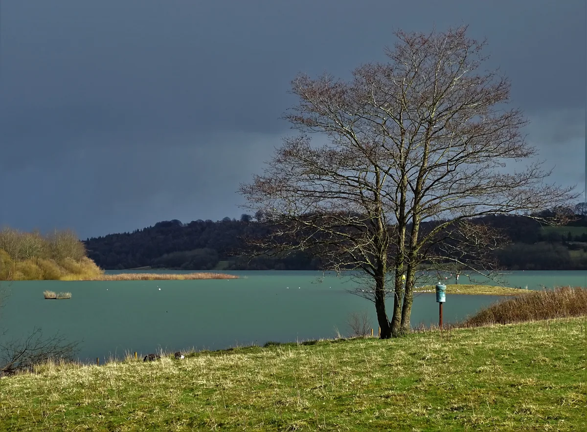 Photo of Carsington Water