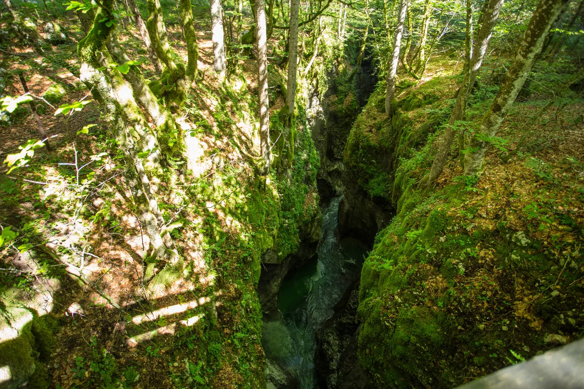 Mostnica — Mostnica Gorge