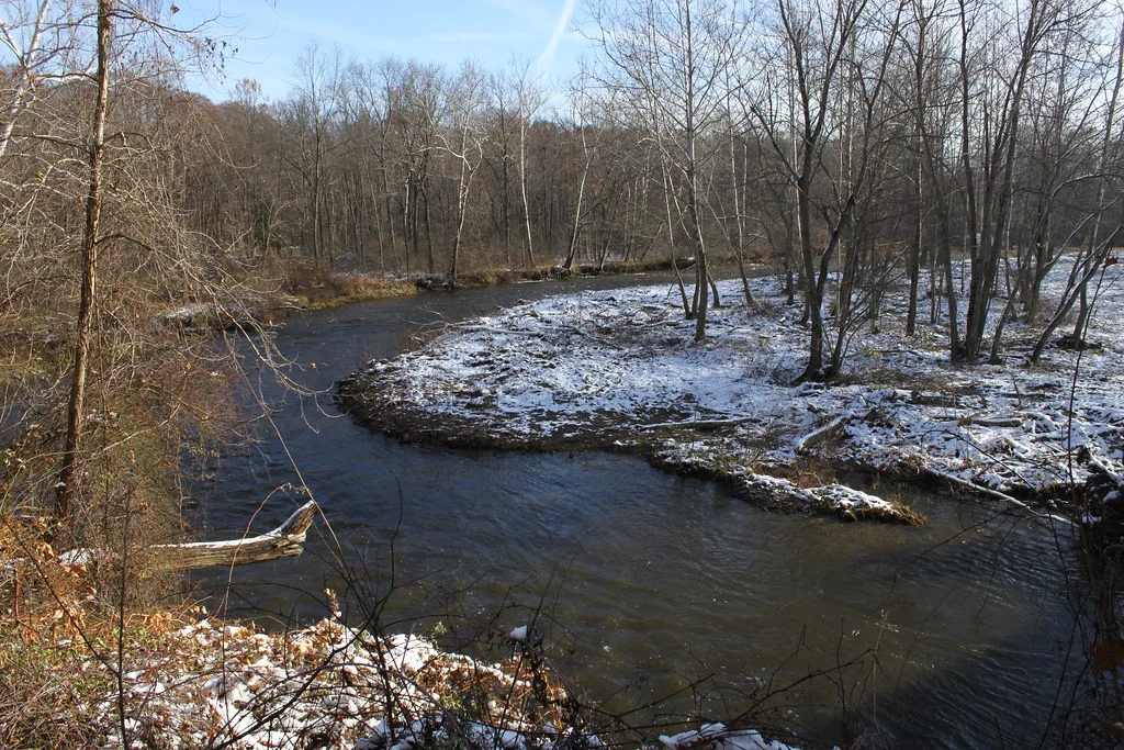 A snowy winter bend of Conneaut Creek lined with bare trees, typical of the Lake Erie steelhead run season.