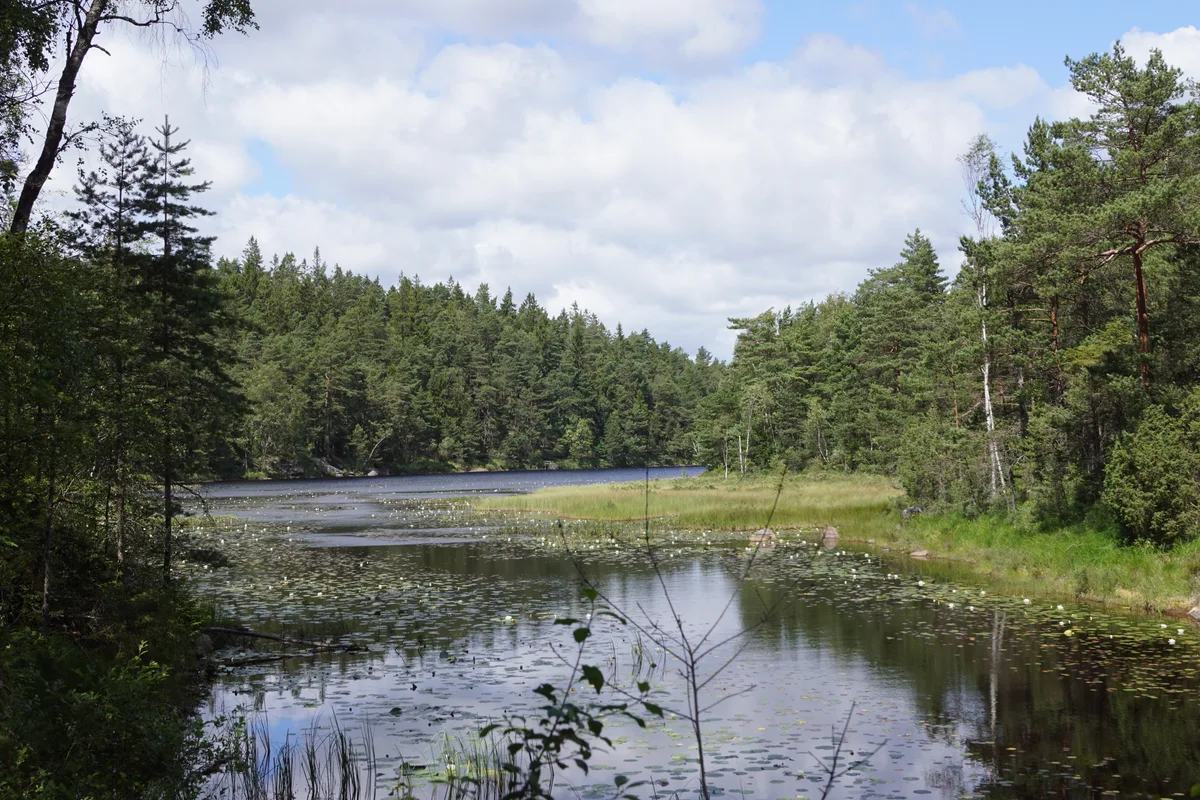 Stora Kroksjön — Stora Kroksjön, a lake in Ale Municipality, Sweden