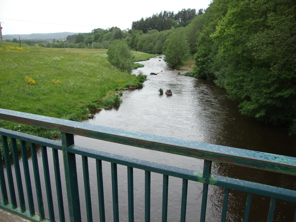 The Lignon du Velay river flowing through meadows near Tence, Haute-Loire, France