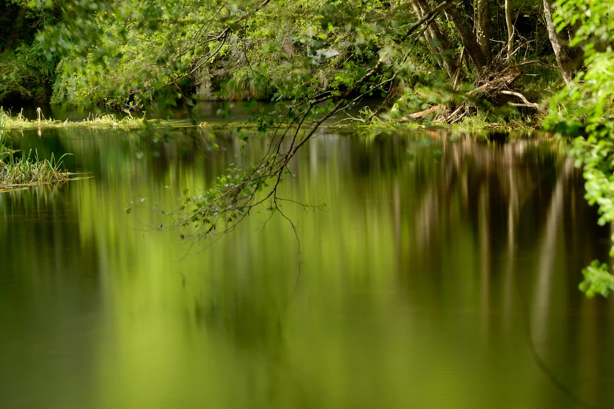Río Porcía — Río Porcía