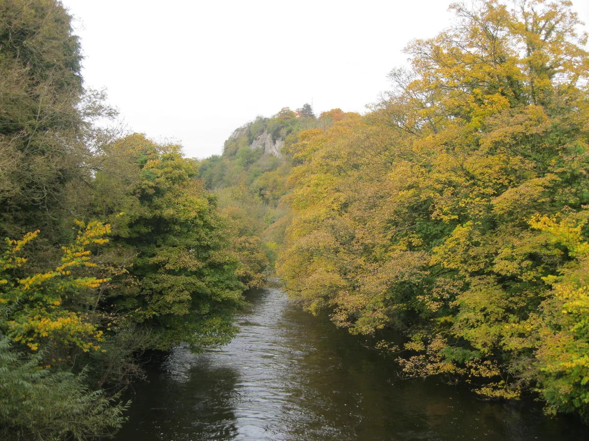 The River Derwent flowing through the wooded valley at Matlock Bath in the Derbyshire Peak District