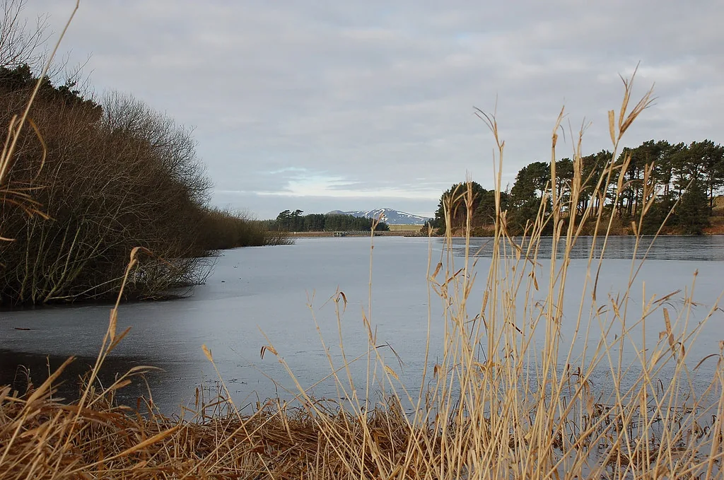 Wide view across the calm, icy waters of Gladhouse Reservoir with reeds in the foreground and hills beyond