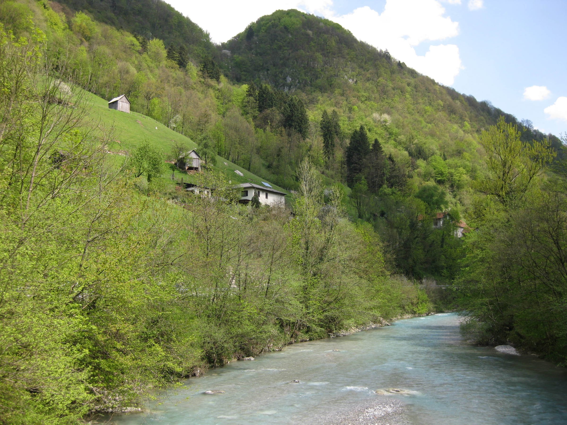 Turquoise-green Bača river flowing through a steep forested valley in spring.
