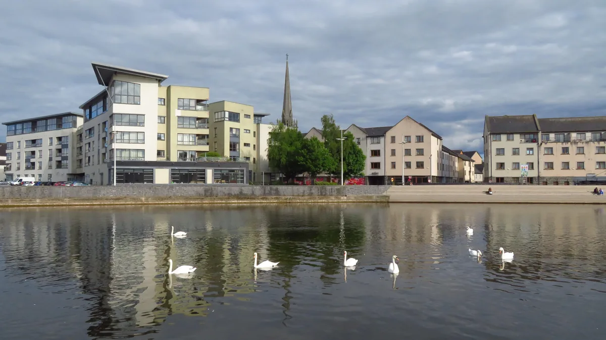 The River Barrow flowing through Carlow town, with swans on the water and St Mary's Church spire visible above the quayside buildings