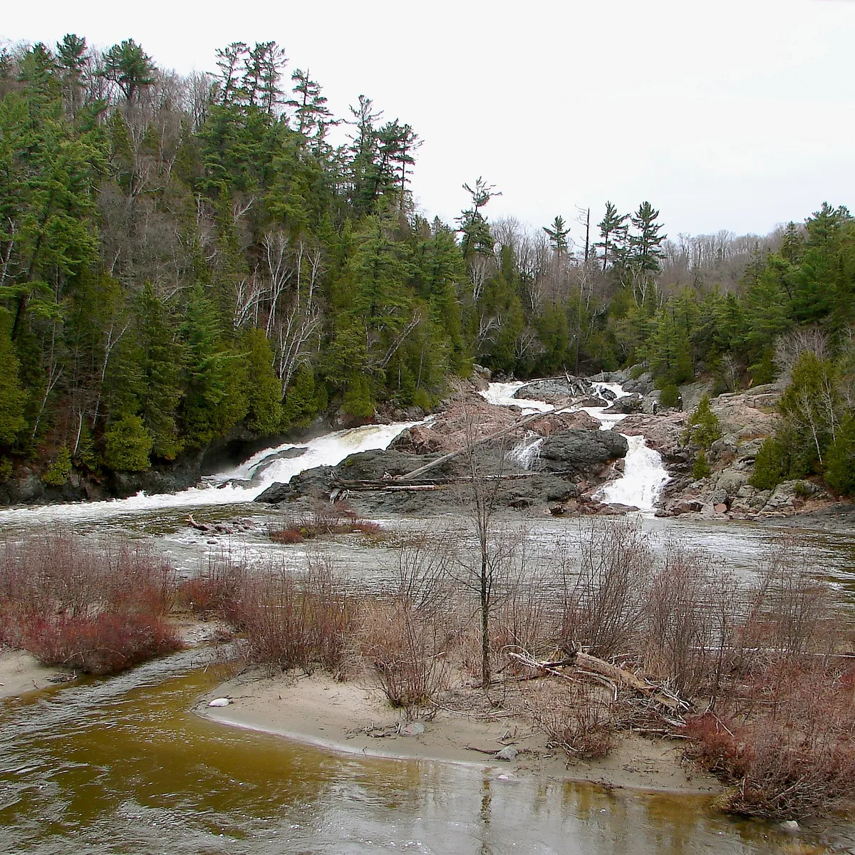 Rapids and falls on the Chippewa River cascading over rock ledges, surrounded by boreal forest, Algoma District, Ontario