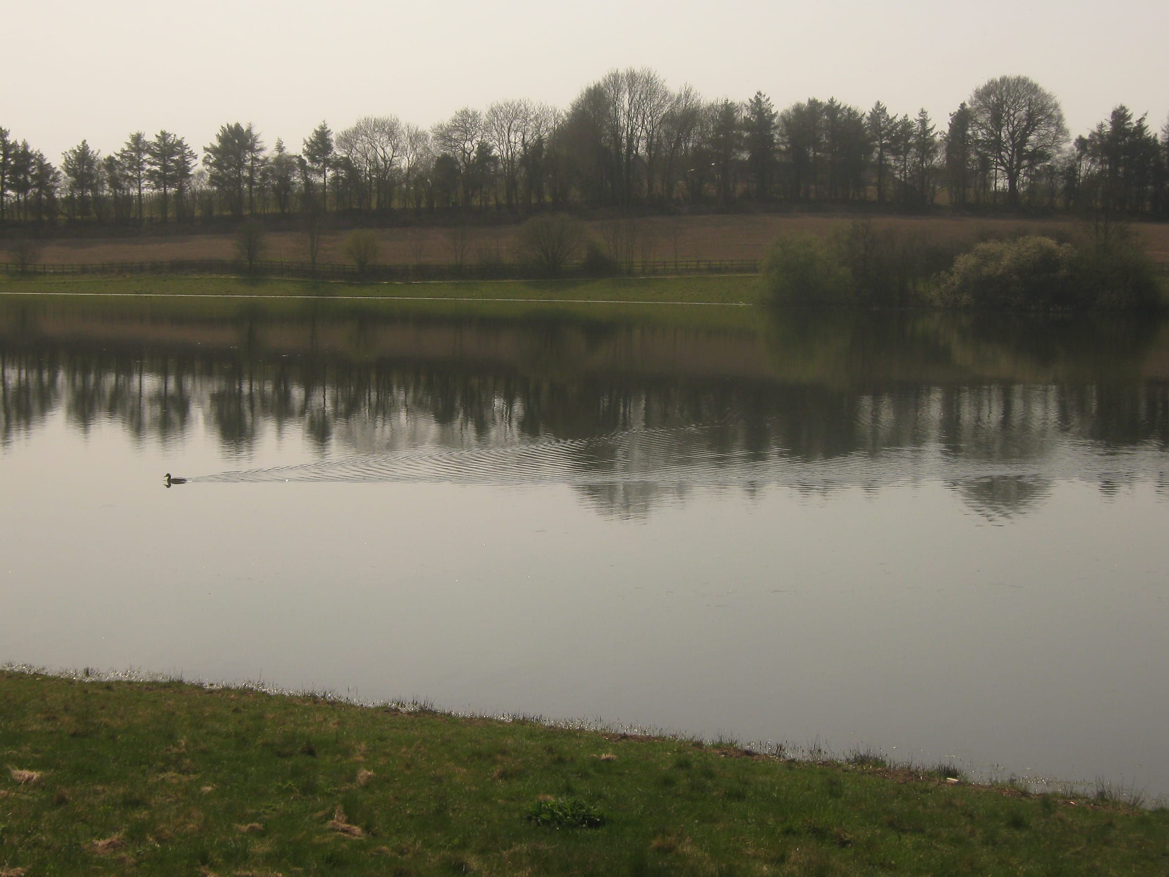 A broad south-westward view across the open water of Bewl Water with wooded shoreline in the distance.